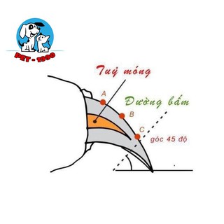 Kìm Bấm Móng Mini - Kéo Cắt Móng Mini Cho Thú Cưng