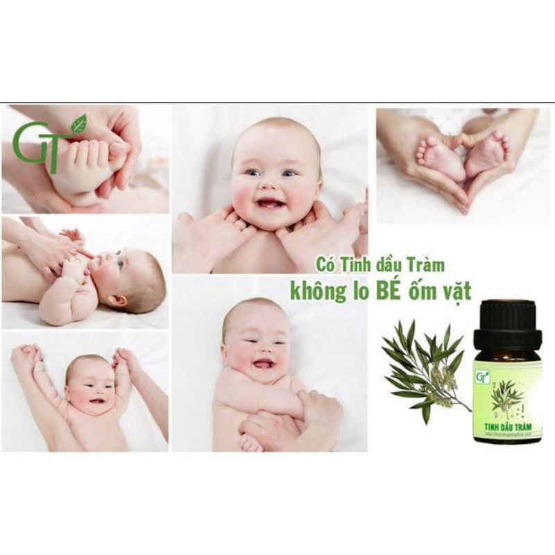 Tinh Dầu Tràm Huế Nguyên Chất  #Tràm Mẹ Bống Giữ ấm cho bé I Thơm Phòng I Đuổi
