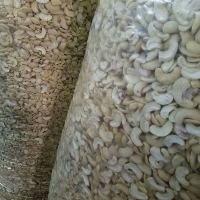 Hạt điều sống vỡ đôi
