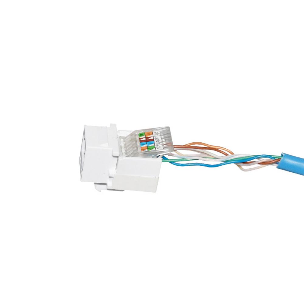 Mô Đun Khuếch Đại Mạng AMP Không Cần Khoan Tường