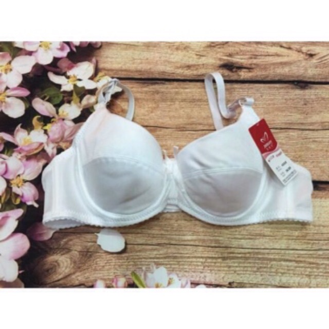 ÁO (4008)  MÚT MÕNG CÓ GỌNG HÀNG LOẠI 1 ĐÀI LOAN