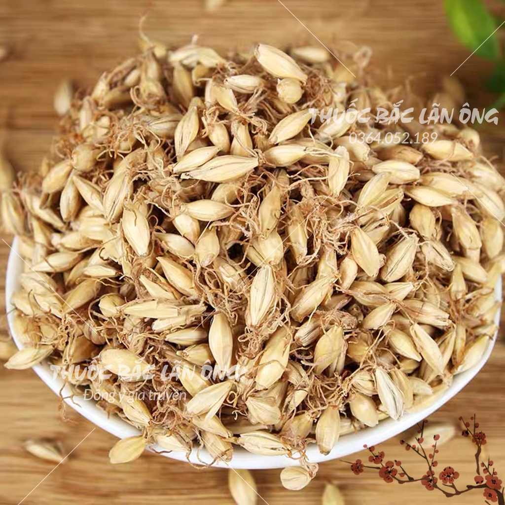 Mạch nha 500g (Mầm lúa mạch, hàng loại 1)
