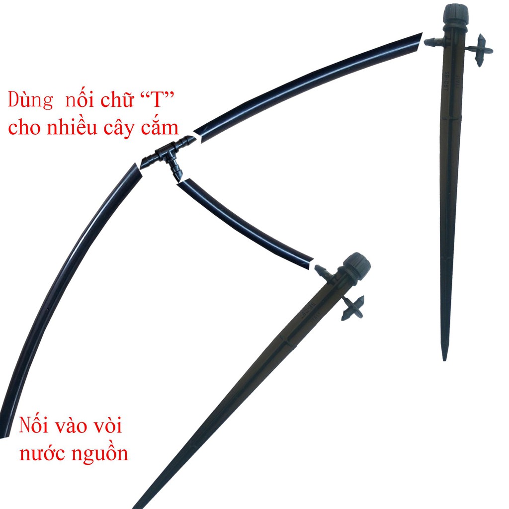 20 cây cắm tưới gôc 8 tia có nút chỉnh lưu lượng gắn ống pe 4 mm đường kính trong chuyên dùng tưới nhỏ giọt, tưới gốc