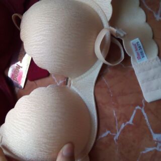 Áo đúc su gân cao cấp 331