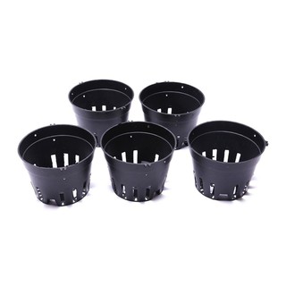 [Combo 5 chiếc] Chậu nhựa đen trồng lan nhiều size