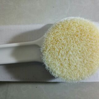CỌ LƯNG MUJI NHẬT THẦN THÁNH