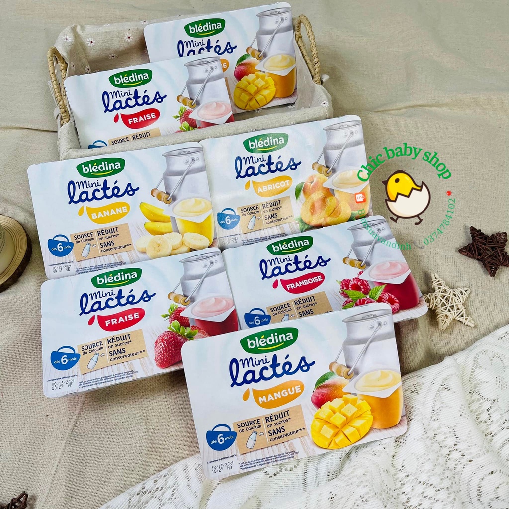 Sữa Chua Bledina Mini Lactes Pháp cho bé từ 6m+