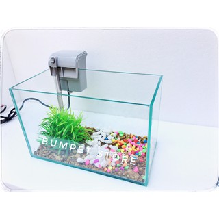 🐟 Bể cá mini 🐟 và lọc thác treo size 30cm [Tặng kèm phụ kiện và đồ ăn cá]