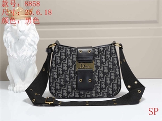 Túi Xách Nữ Dior Thời Trang Hàn Quốc