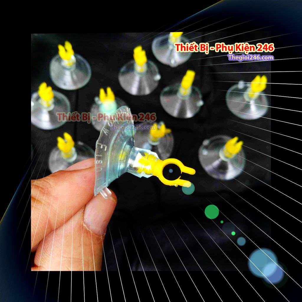 Hít cao su cố định dây oxi hồ cá chuyên dụng (2 cái)