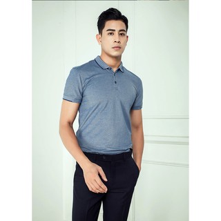 Áo thun nam có cổ blentino pl21