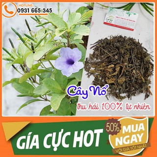 Cây Nổ 1Kg - Thảo Dược Sấy Khô Chất Lượng