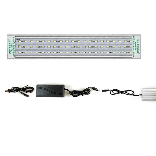 Đèn led thủy sinh Odyssea Slim X