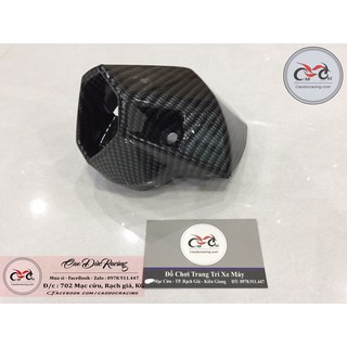 Sỉ Chụp pô Winner 150 Sơn cực đẹp