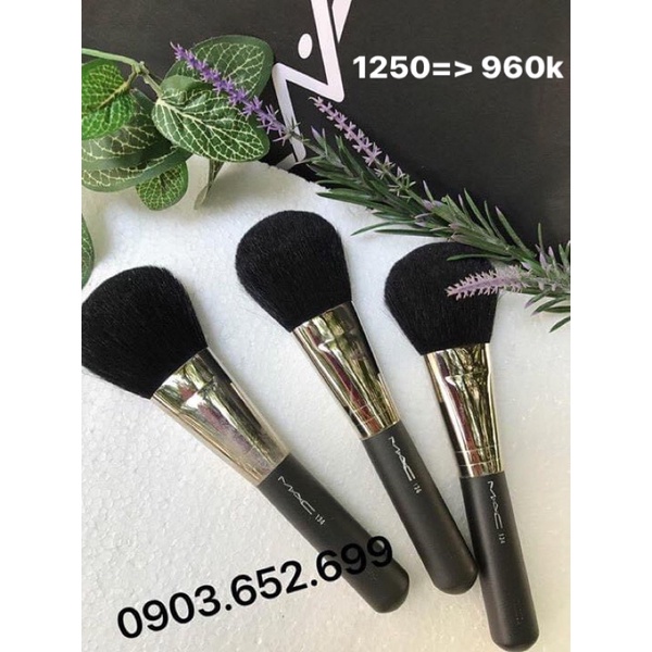 Cọ phủ, cọ mắt, ckđ… sale từ 450-880k | BigBuy360 - bigbuy360.vn