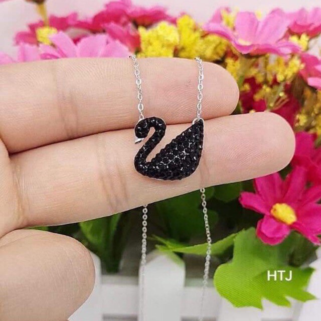 Dây thiên nga đen bạc chuẩn