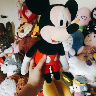 Gấu bông giá rẻ