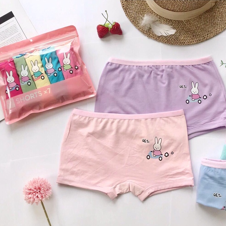 Combo 5 chiếc quần chip bé gái cotton cao cấp họa tiết Thỏ Bunny dễ thương