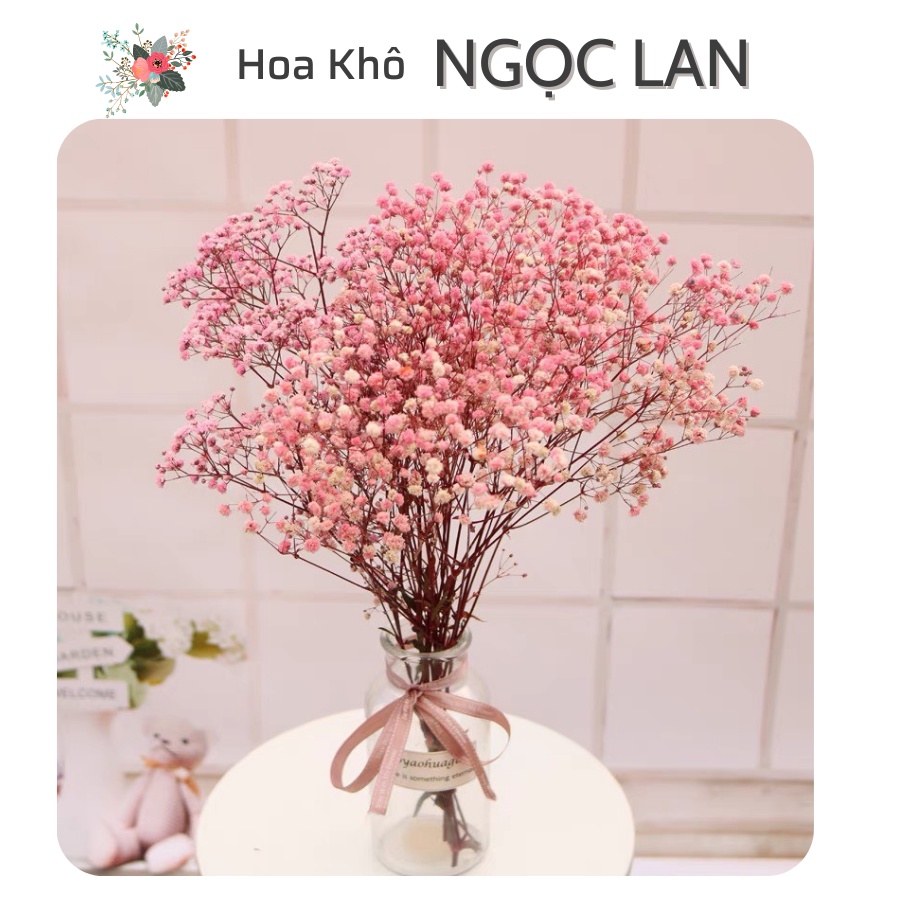 Hoa khô baby tông màu hồng - Hoa khô decor trang trí phòng khách, làm đồ handmade