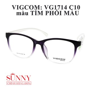 Gọng Kính Vigcom VG1523 C