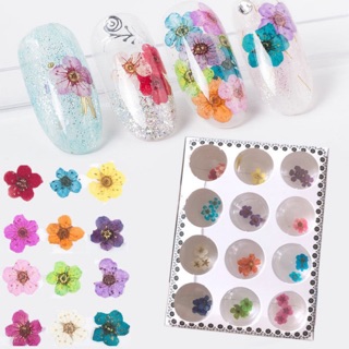 Hoa khô ẩn gel nail
