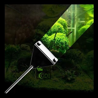 Cây Cạo Rêu Hợp Kim Vệ Sinh Bể Cá Cảnh