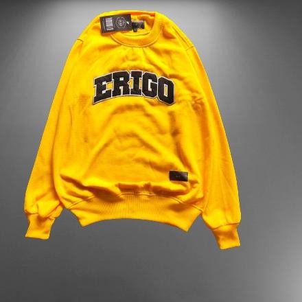 Áo Nỉ Cổ Tròn Dài Tay In Chữ Erigo Ergterlaris 6.6 | BigBuy360 - bigbuy360.vn