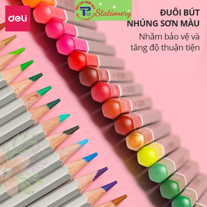 Bút chì màu nước cao cấp Deli - Có kèm cọ tán - Bộ 24 màu - 6521