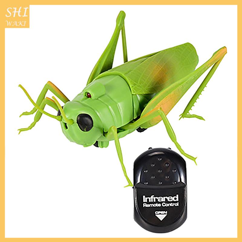 Đồ Chơi Mô Hình Côn Trùng Máy Bay Điều Khiển Từ Xa Mẫu Mới Lạ Làm Quà Tặng Cho