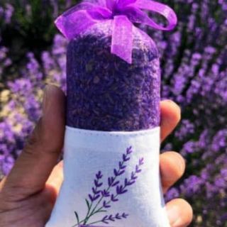 Túi Thơm Hoa Lavender ( Hoa Oải Hương )