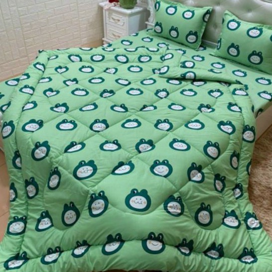 Trọn bộ chăn ga gối 5 món chăn trần bông(chát chọn mẫu)