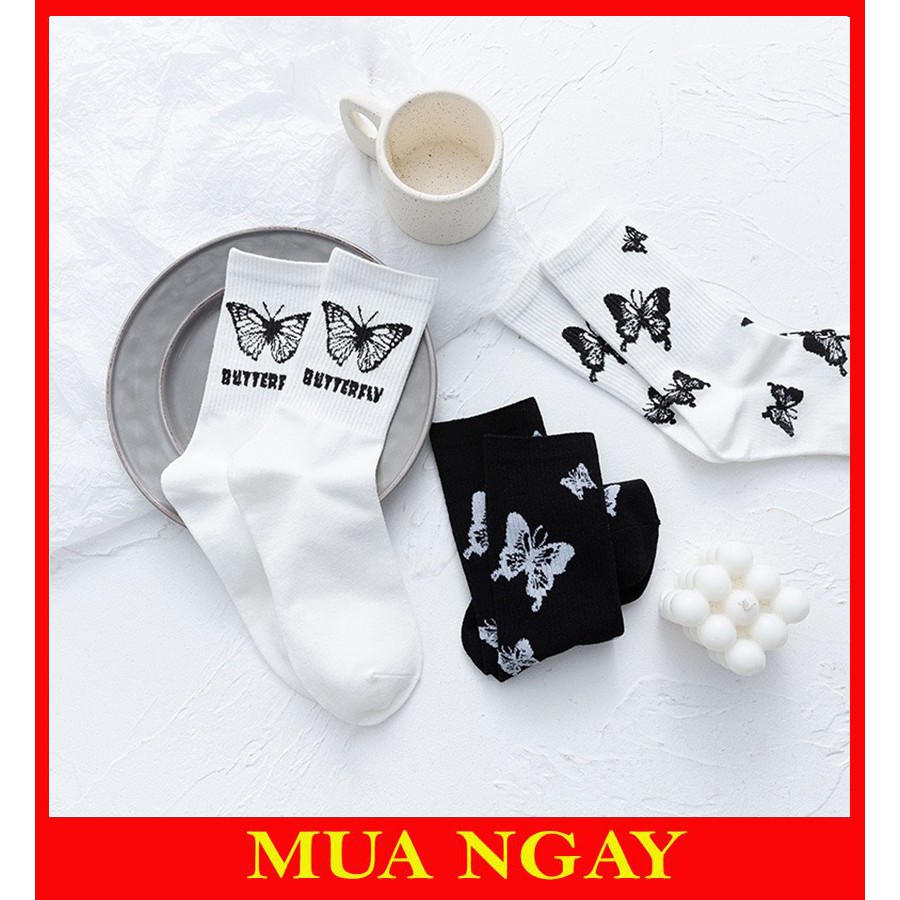 Tất nam nữ cổ cao vớ dài unisex in hình bướm cực đẹp TN38