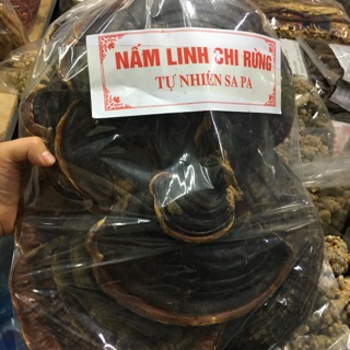 Nấm LINH CHI rừng tự nhiên nguyên cái loại 1 1kg