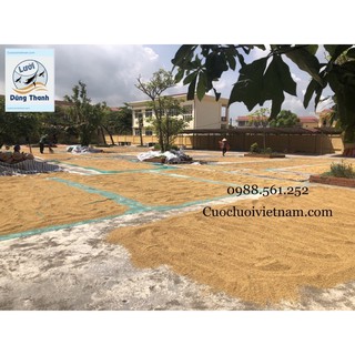 Lưới phơi thóc 4x6m