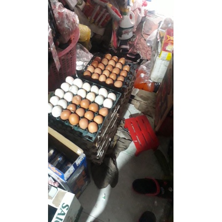 Vỉ 30, trứng vit tươi