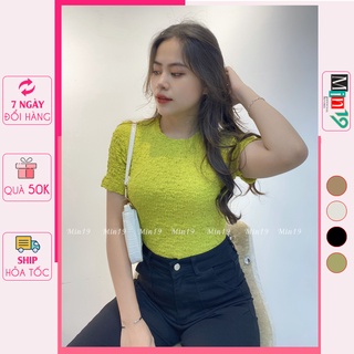 Áo Thun Nữ Tay Ngắn MIN19 Áo Phông Nữ Đẹp Cổ Tròn Dáng Ôm Vải Cotton Nhăn Màu Trắng Nâu Xanh Be Thời Trang Hàn Quốc