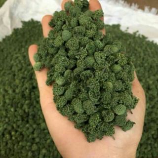 100g - 200g -300g nụ hoa tam thất bao tử không cuống