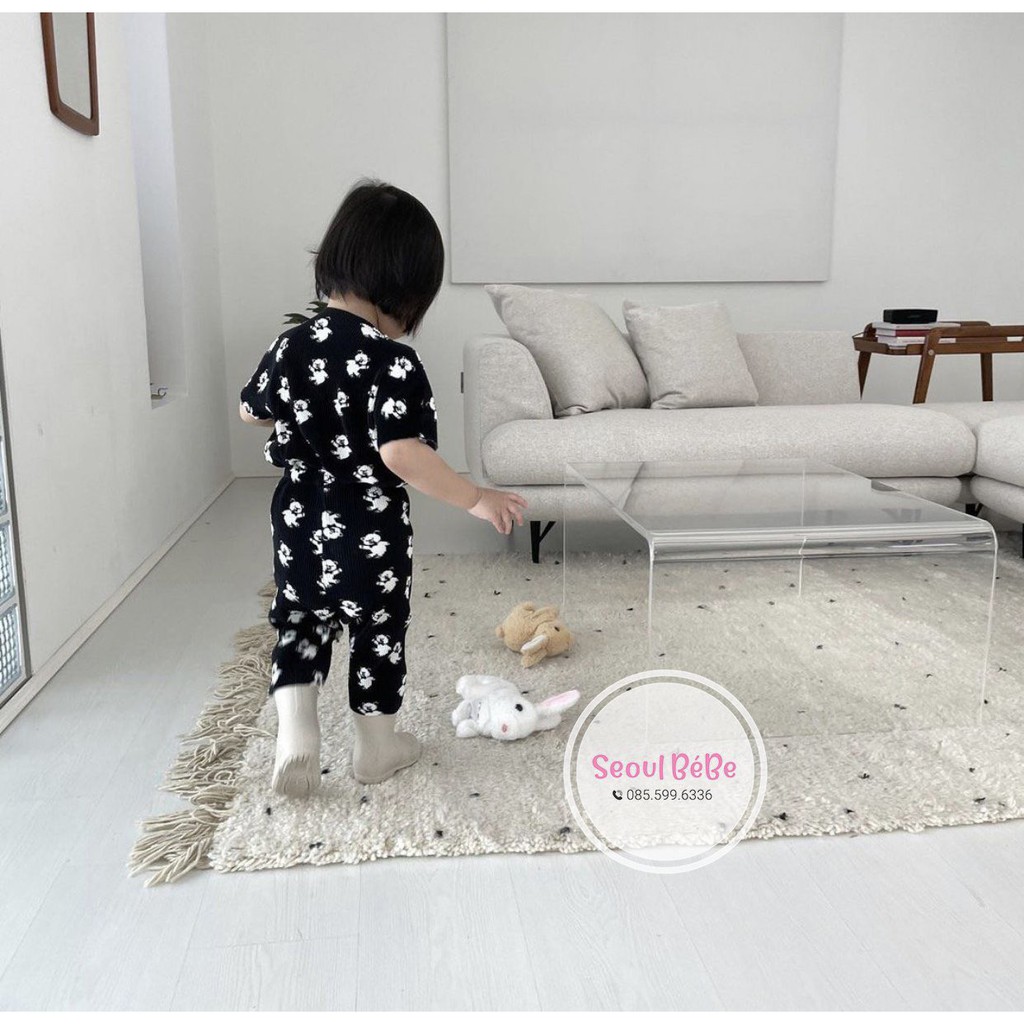 Bộ cộc xếp ly gấu cotton giấy chất siêu đẹp made in Korea