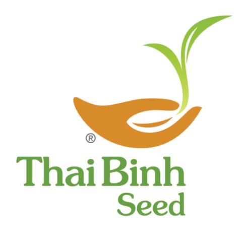 Gạo ThaiBinh Seed