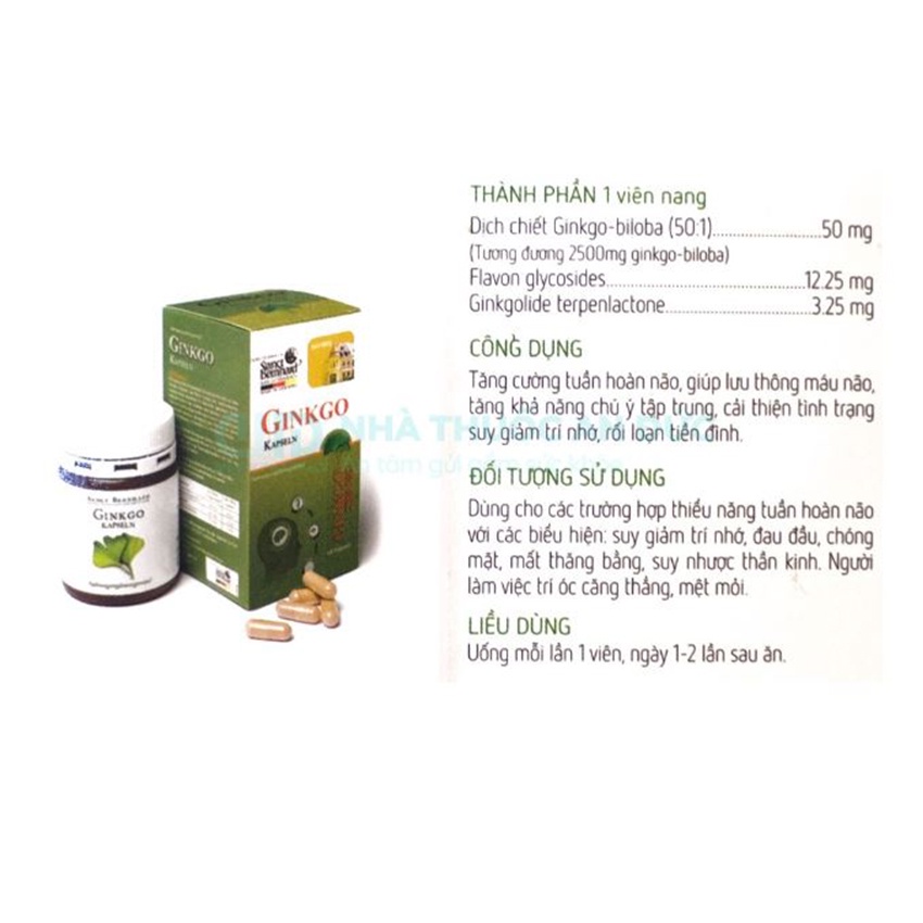 Viên Uống GINKGO KAPSELN 100 MG hỗ trợ tăng cường tuần hoàn não, giúp lưu thông máu não 30v - Thuocviet24h