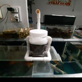 Loc che va 700g nham thach