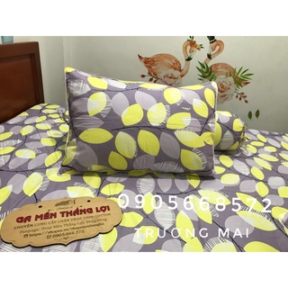 Bộ Drap 100%cotton Thắng Lợi (có chăn)