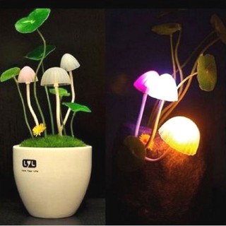 Đèn nấm Avatar cảm ứng
