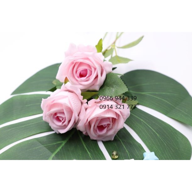 [ẢNH SHOP CHỤP] Hoa hồng Nhiều màu Cành dài 51cm - Trang trí Tết Valentine Sinh Nhật Quà tặng Wedding