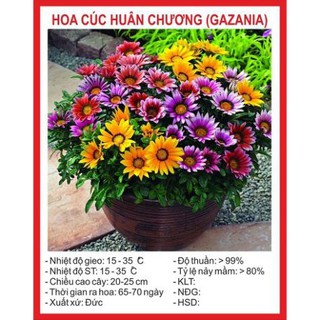 Combo Hạt Giống 200K