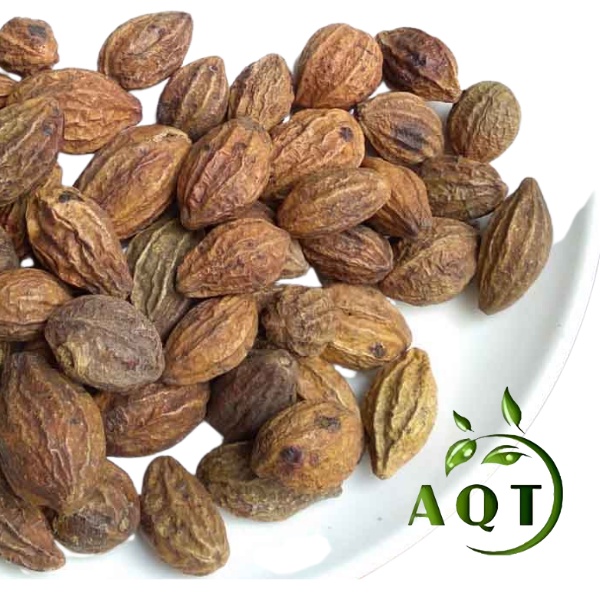 Hạt Kha Tử (Quả Chiêu Liêu) 300g Giảm Ho, Khàn Tiếng, Trái Kha Tử Loại 1 Sạch, Đẹp Ngậm Giảm Đau Họng