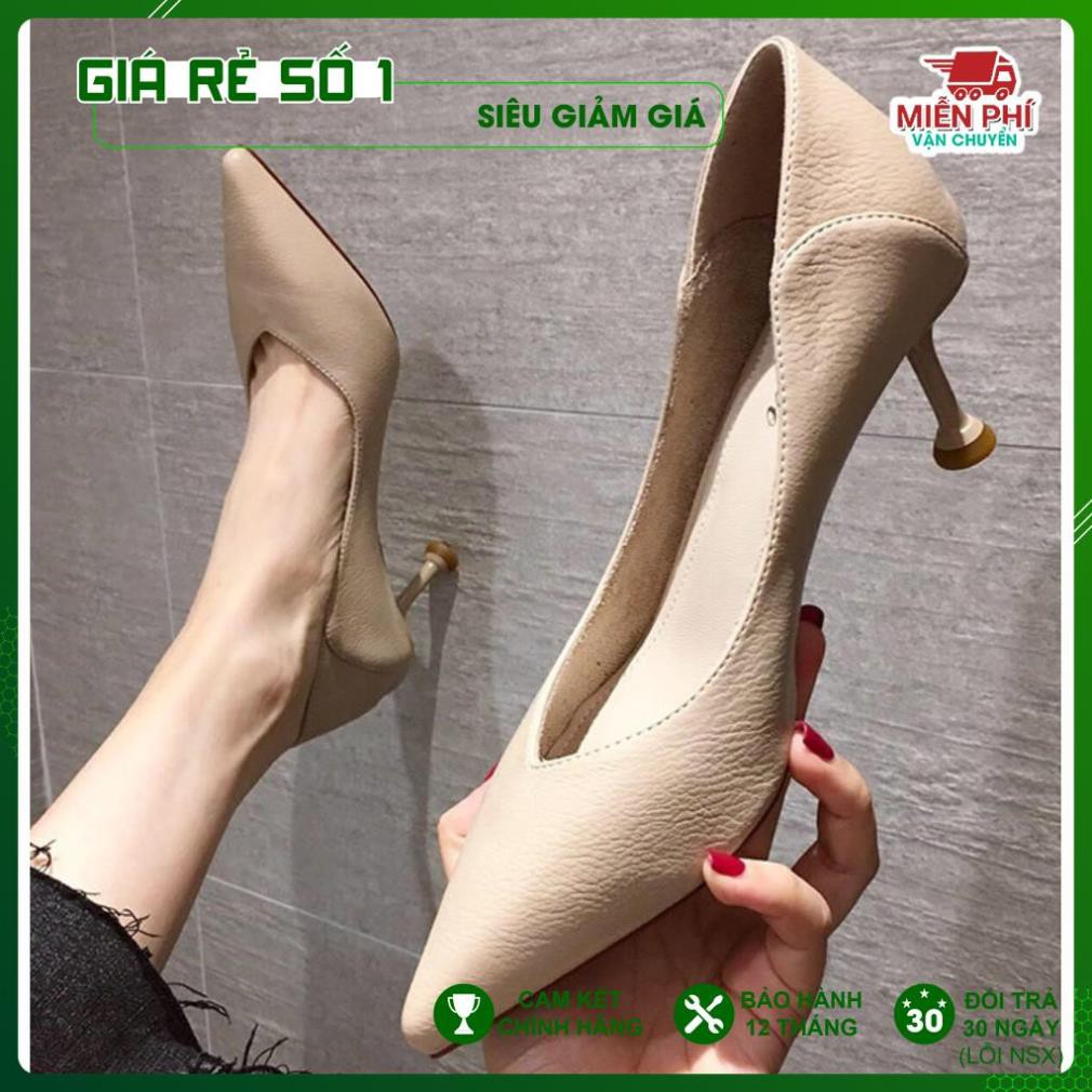 Giày Cao Gót Nữ -DAZZLING SHOES Thời Trang Mũi Nhọn Cao 3 Phân Da Lì Gót Nhọn Chống Xước - SS108 .