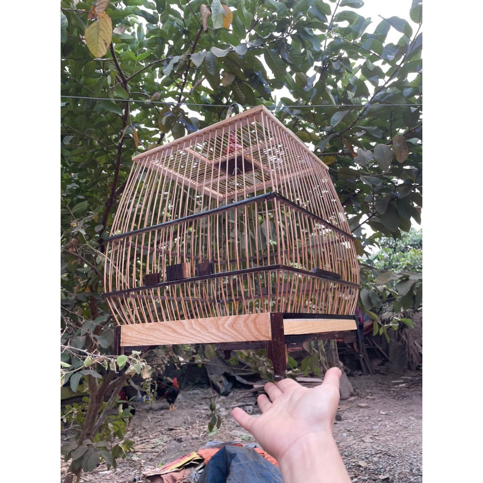 Khung lồng sing chào mào gỗ mun 23 nan giá ưu đãi
