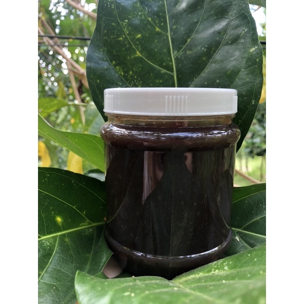 Nước Cốt Trái Nhàu Chín