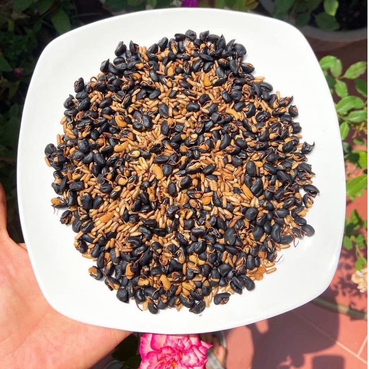 Trà mầm đậu đen nảy mầm mix gạo tím thảo dược nảy mầm - Tini